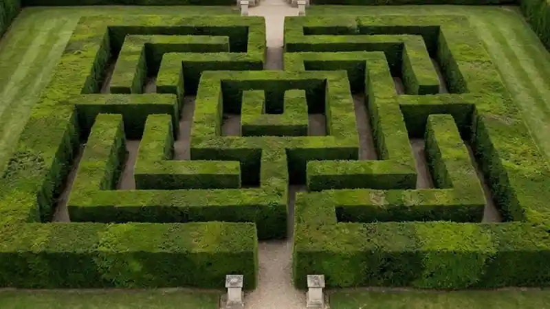 The Psychologist — Perceiving the problem from a broader perspective